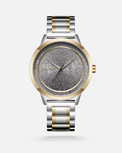 Men's gold and silver steel watch