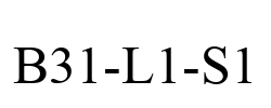 B31-L1-S1