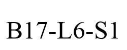 B17-L6-S1