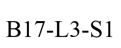B17-L3-S1