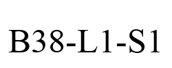 B38-L1-S1