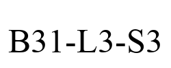 B31-L3-S3