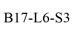 B17-L6-S3