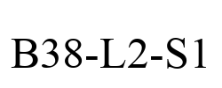 B38-L2-S1