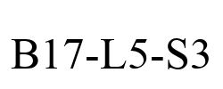 B17-L5-S3