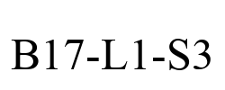 B17-L1-S3