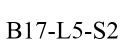 B17-L5-S2