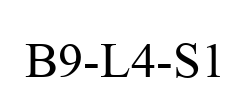 B9-L4-S1