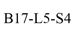 B17-L5-S4