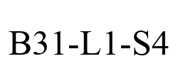 B31-L1-S4