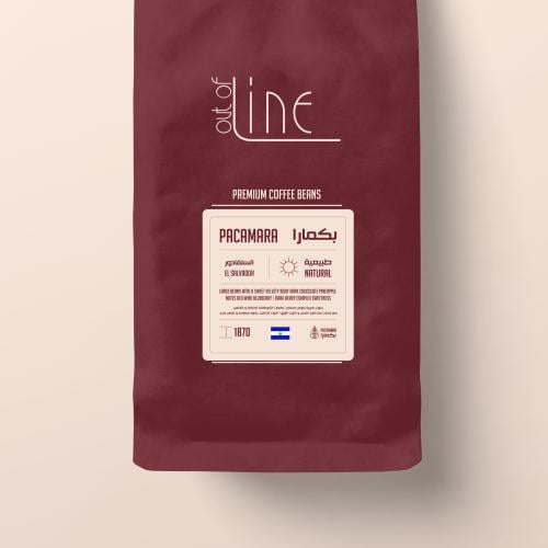 بكمارا - Pacamara