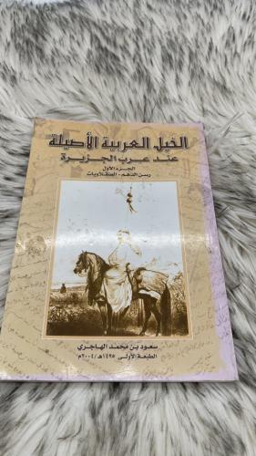 الخيل العربية الاصيلة عند عرب الجزيرة