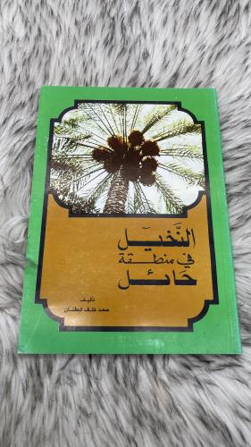 النخيل في منطقة حائل