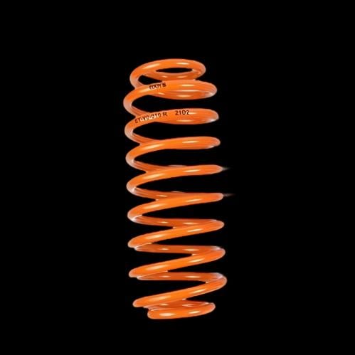 Lowering Springs