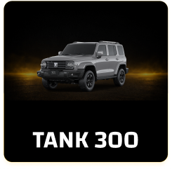 TANK 300