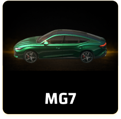 Mg7