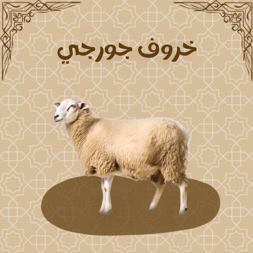 خروف جورجي