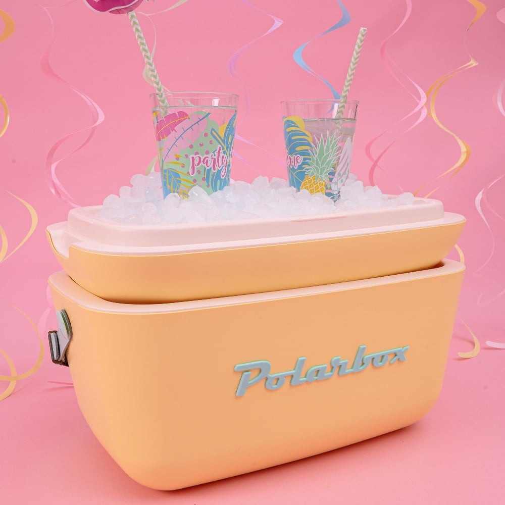 Cyan – Baby Rose Pop Retro Ice Box Cooler