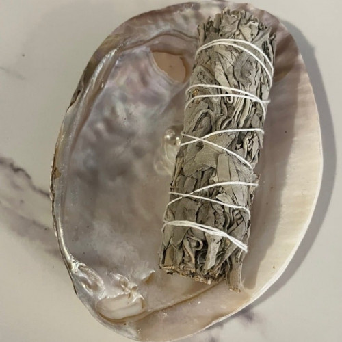 صدف - seashell