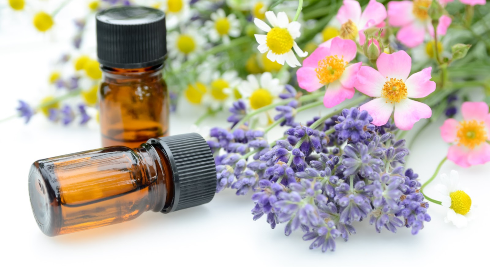 الدليل الشامل لطرق استخراج الزيوت العطرية