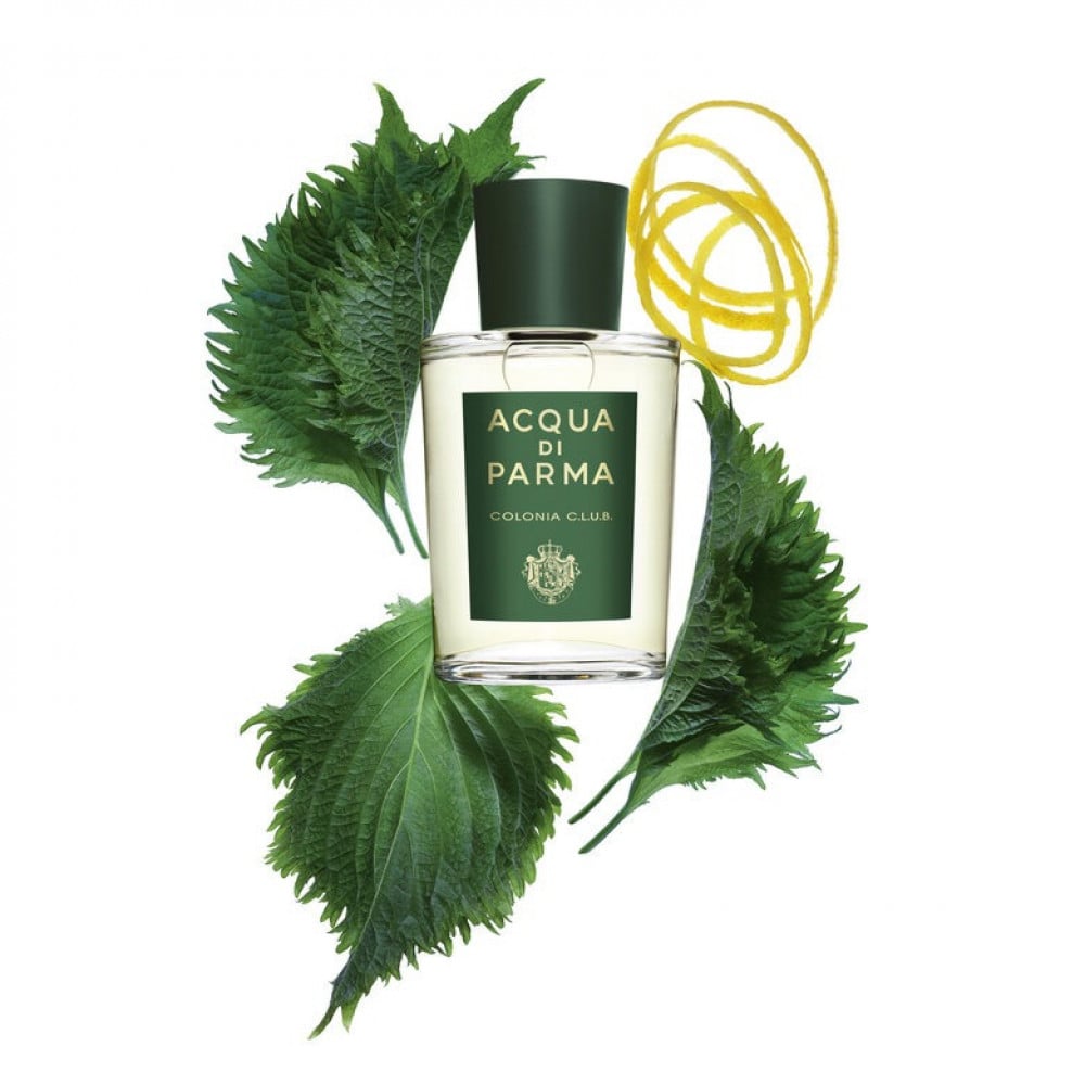 Tester Acqua di Parma Colonia Club Eau de COLOGNE 100 ML Basma