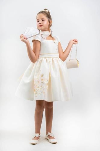 فستان فخم + شنطة