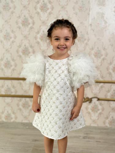 فستان  مطرز + اكسسوار شعر ) المقاسات صغيرة عن المعتاد