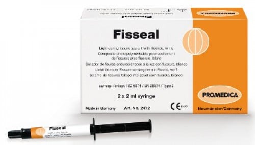 Fisseal