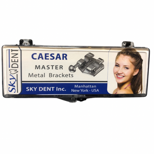 Metal bracket- sky dent