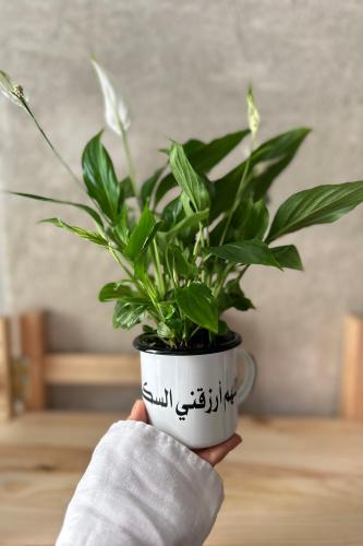 كوب بعبارة اللهم أرزقني السكينة