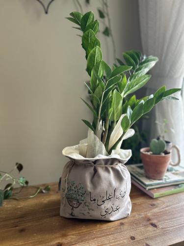 سله نبتة هدية الأب