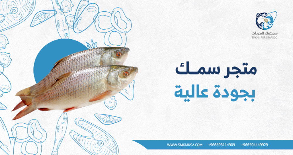 اكتشف أفضل العروض لسمك بجودة عالية