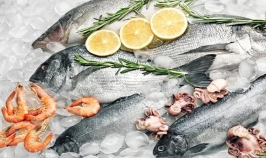 تجربة تسوق أسماك فريدة