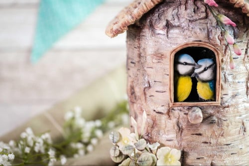 قالب سيليكون Love Bird