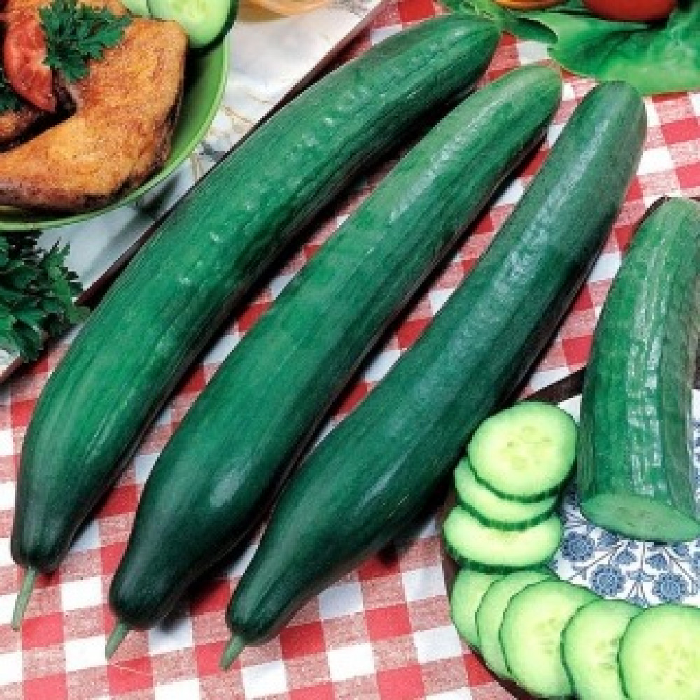 CUCUMBER GOAL F1