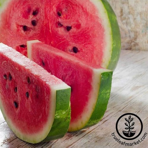 Watermelon Crimson sweet