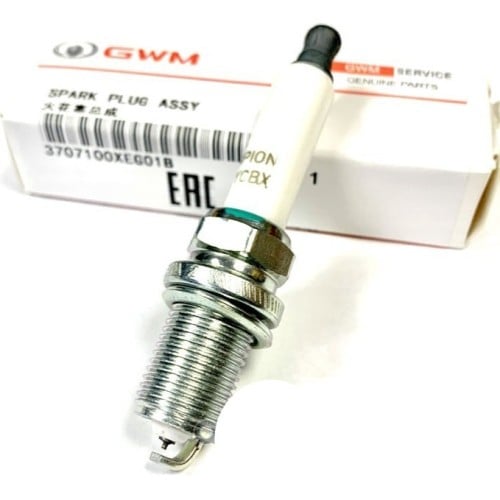 طقم بواجي هافال دارجو - Dargo