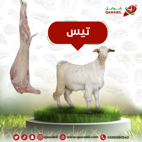 تيس باكستاني جذع وزن 11 كجم - نصف ذبيحة