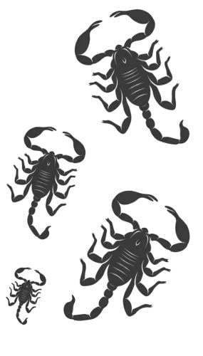 تاتو وسم الأعشاب المؤقت (561)