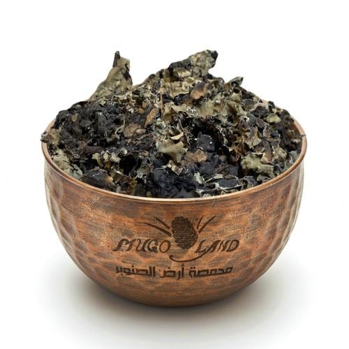 شيبة ( شنة)