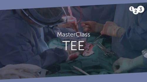 Free lecture TEE MasterClass Your introduction to TEE echocardiography