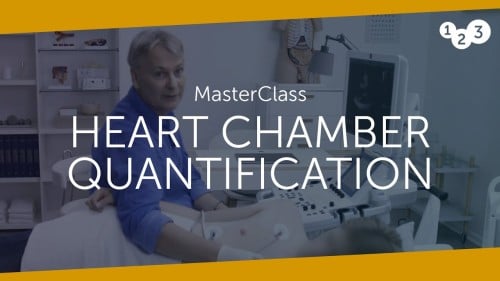 Heart-Chamber-Quantification