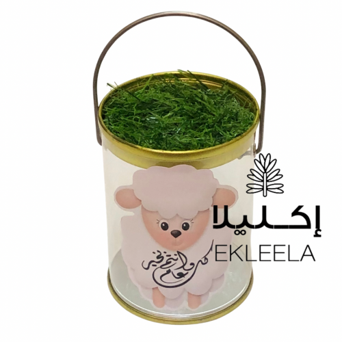 علب عيديات / علب توزيعات عيد ( 12 علبه )