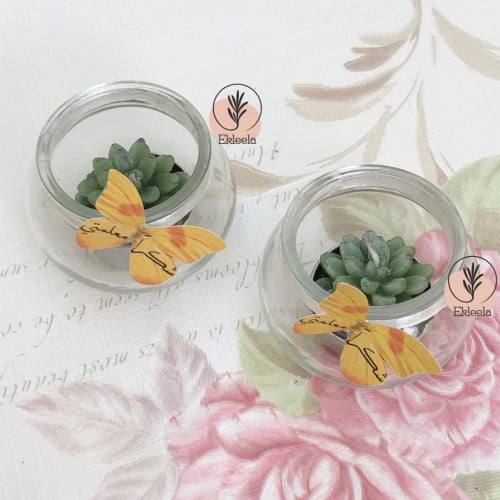 توزيعات شموع يوم المعلم (  12 شمعه )