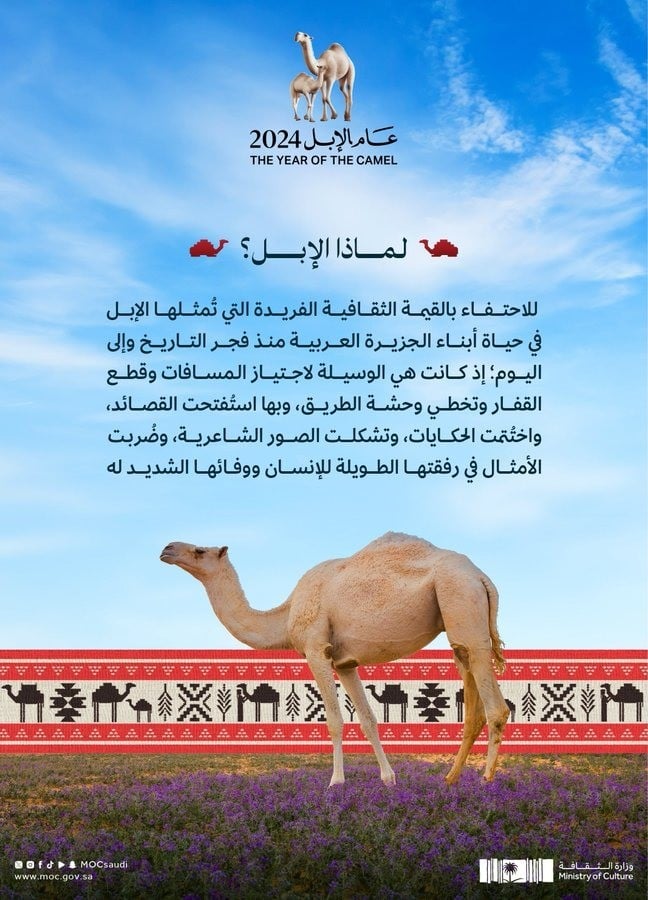 عام الجمل