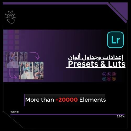 Presets & Luts