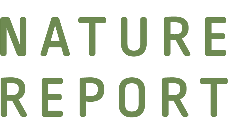 ناتشر ريبورت