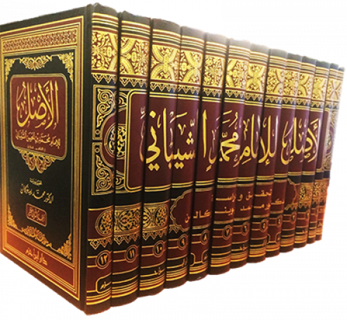 الأصل 1 / 13  ( شاموا )