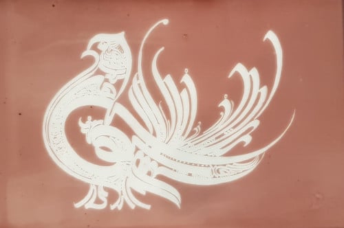طائر
