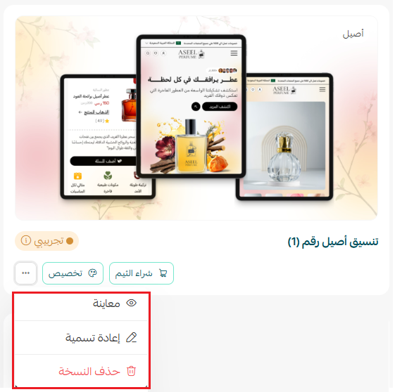 إدارة الثيمات وتخصيصها وحماية محتوى المتجر